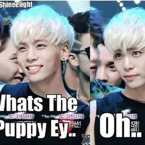 Meet your Posher, Lyna